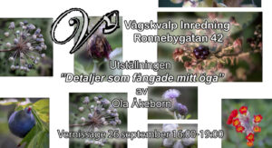 ”Detaljer som fångade mitt öga”